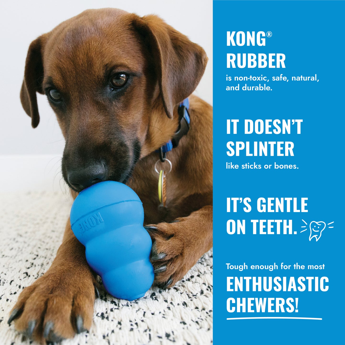KONG Puppy Toy (Assorted Colours)