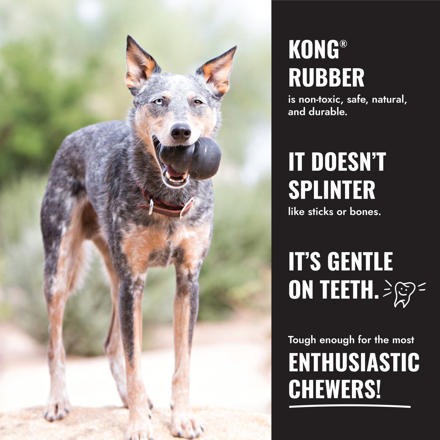 KONG Extreme Dog Toy