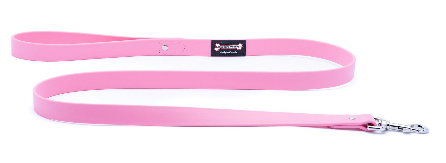 Smoochy Poochy Polyvinyl Regular Style Leash (Various Colours and Sizes)
