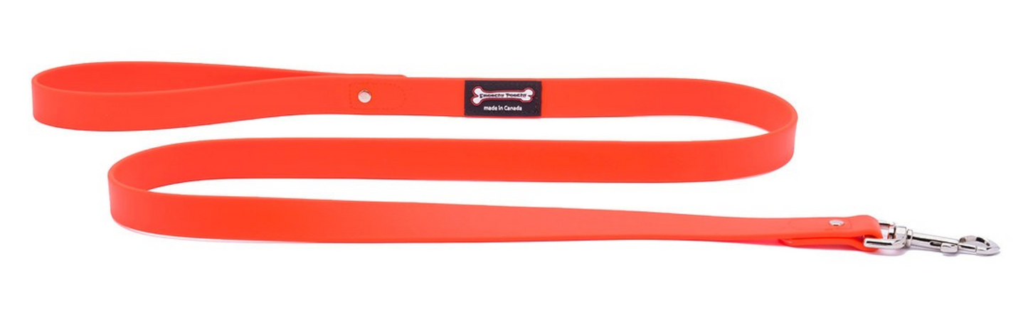 Smoochy Poochy Polyvinyl Regular Style Leash (Various Colours and Sizes)