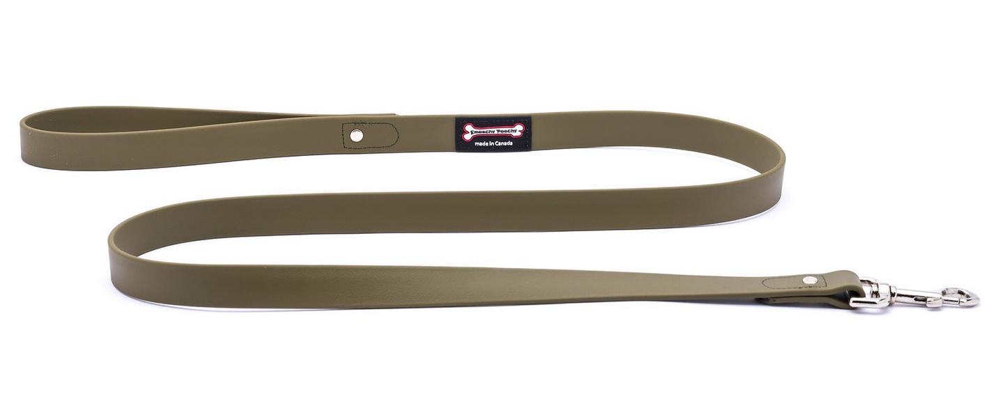Smoochy Poochy Polyvinyl Regular Style Leash (Various Colours and Sizes)