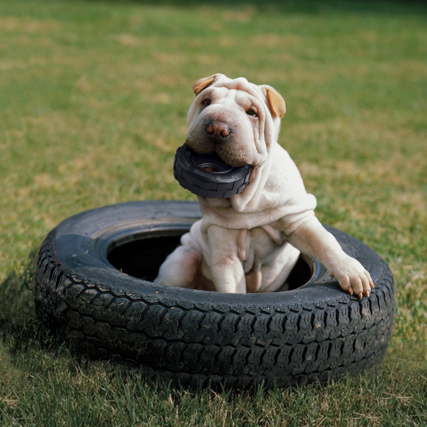 KONG Extreme Tire