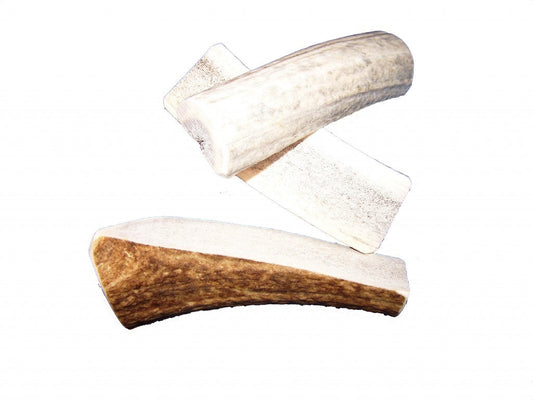 Large Antler Dog Chew (Split)