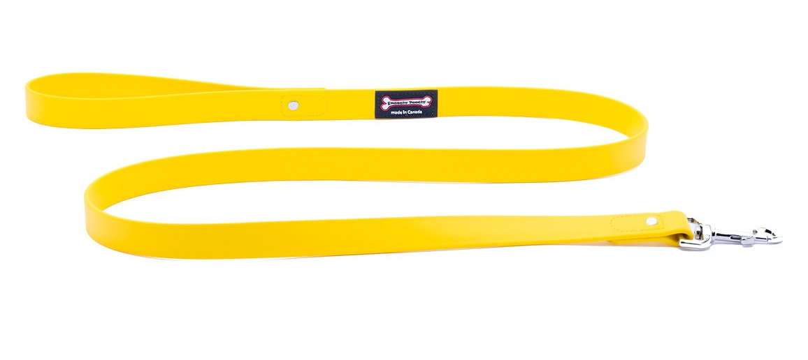 Smoochy Poochy Polyvinyl Regular Style Leash (Various Colours and Sizes)
