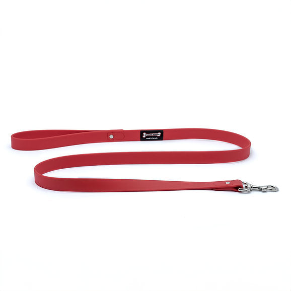 Smoochy Poochy Polyvinyl Regular Style Leash (Various Colours and Sizes)