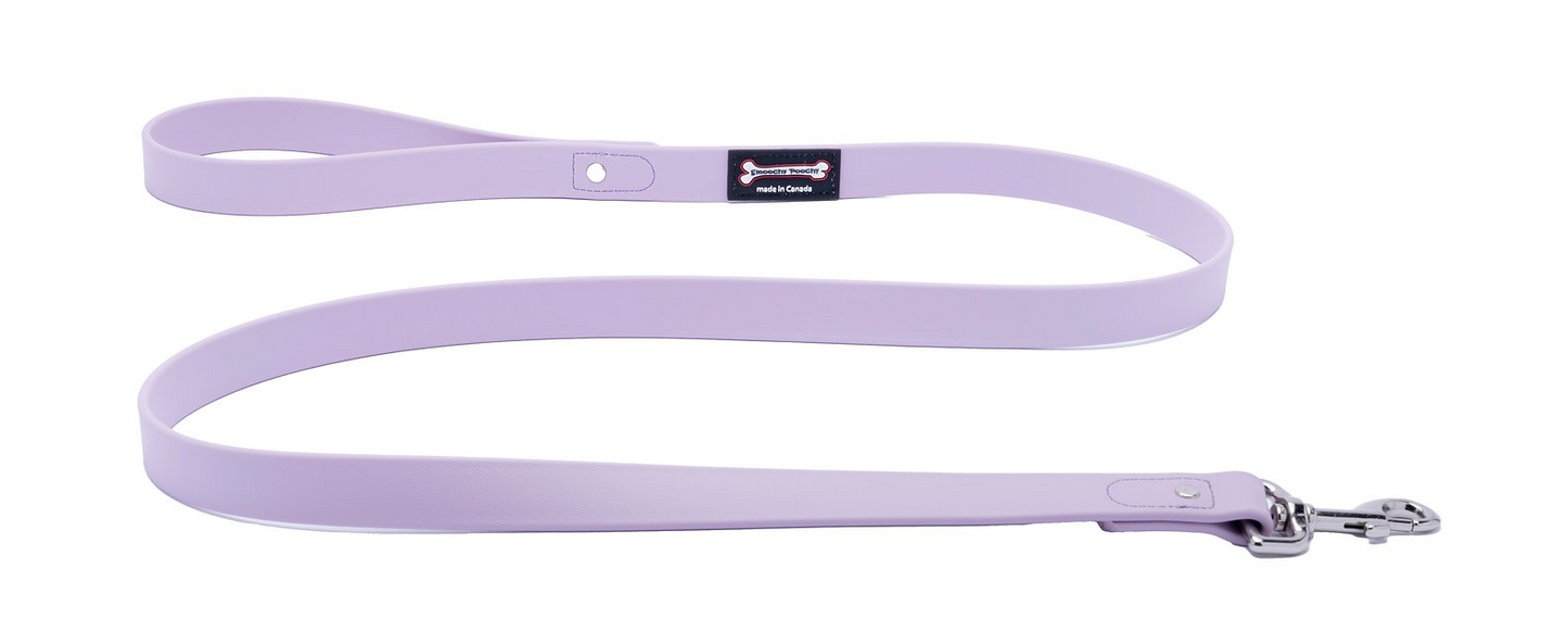 Smoochy Poochy Polyvinyl Regular Style Leash (Various Colours and Sizes)